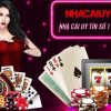 live casino đá gà trực tiếp casino 🎰 67